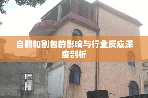 自翻和割包的影响与行业反应深度剖析