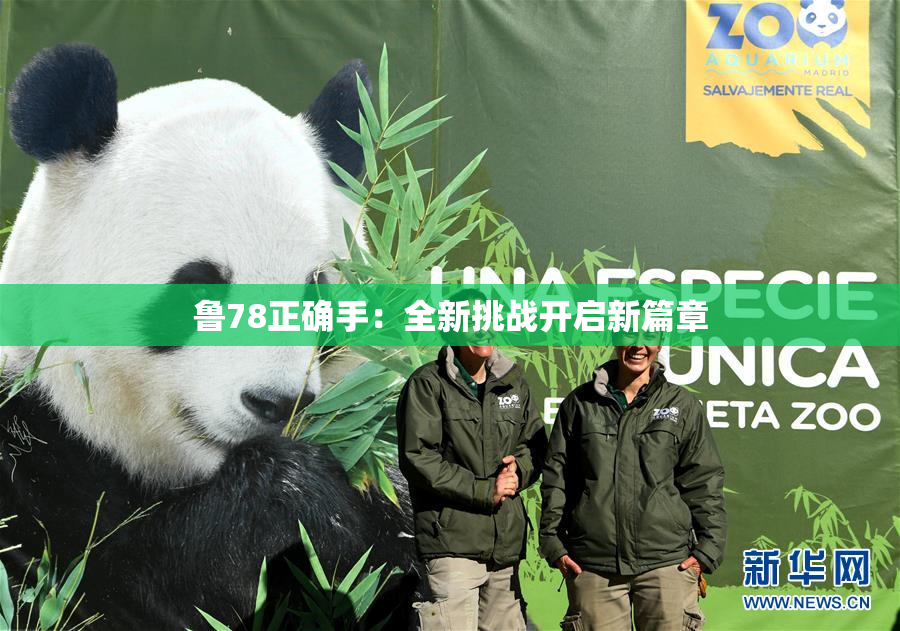 鲁78正确手：全新挑战开启新篇章