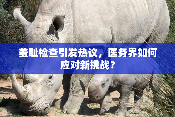 羞耻检查引发热议，医务界如何应对新挑战？