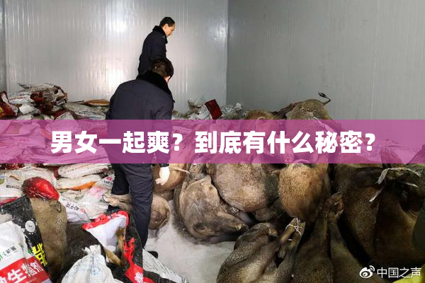 男女一起爽？到底有什么秘密？