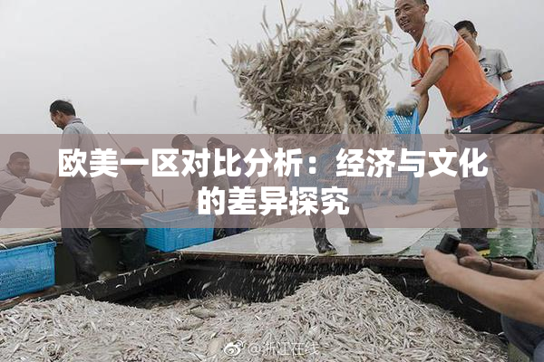欧美一区对比分析：经济与文化的差异探究