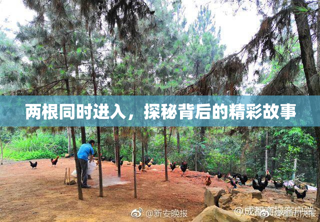两根同时进入，探秘背后的精彩故事