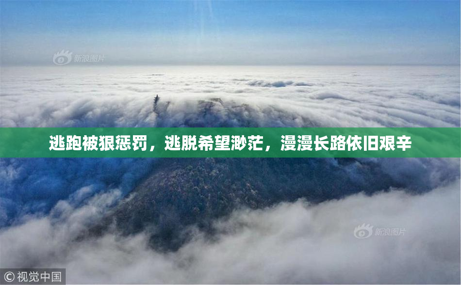 逃跑被狠惩罚，逃脱希望渺茫，漫漫长路依旧艰辛