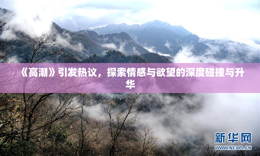 《高潮》引发热议，探索情感与欲望的深度碰撞与升华