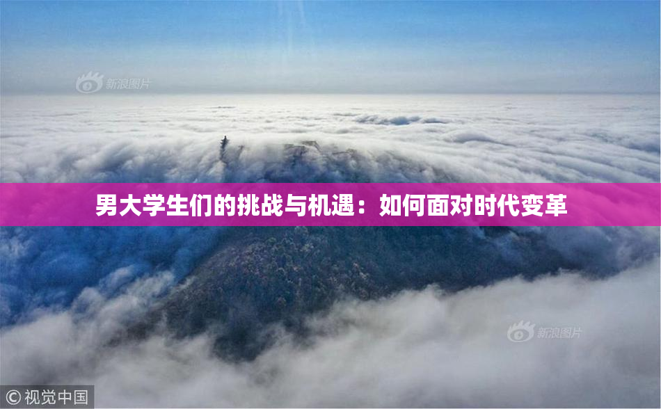 男大学生们的挑战与机遇：如何面对时代变革