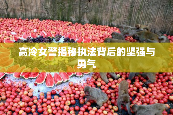 高冷女警揭秘执法背后的坚强与勇气