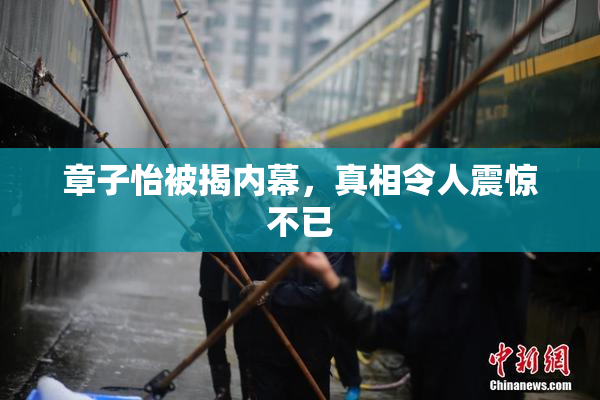章子怡被揭内幕，真相令人震惊不已