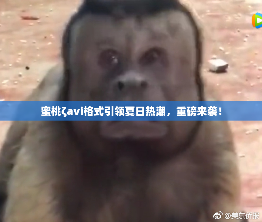 蜜桃ζavi格式引领夏日热潮，重磅来袭！