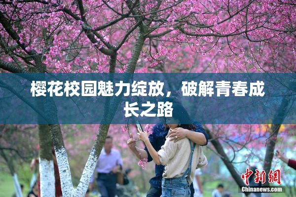 樱花校园魅力绽放，破解青春成长之路