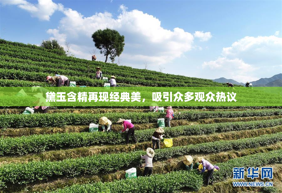 黛玉含精再现经典美，吸引众多观众热议