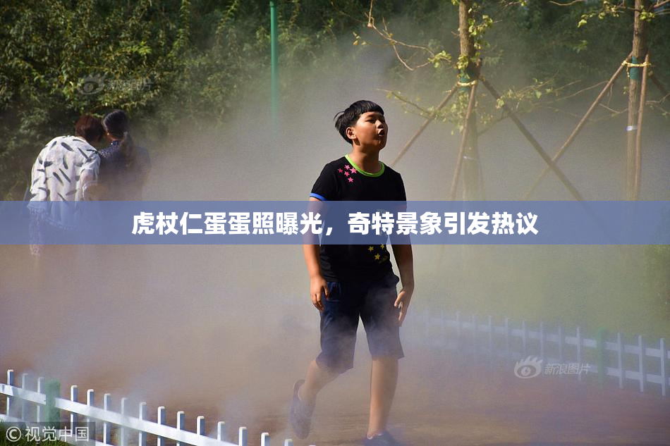 虎杖仁蛋蛋照曝光，奇特景象引发热议