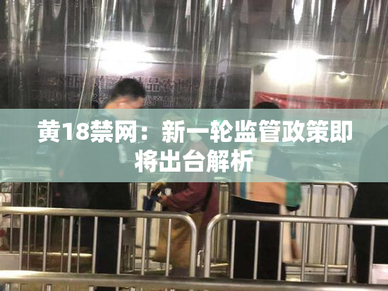 黄18禁网：新一轮监管政策即将出台解析