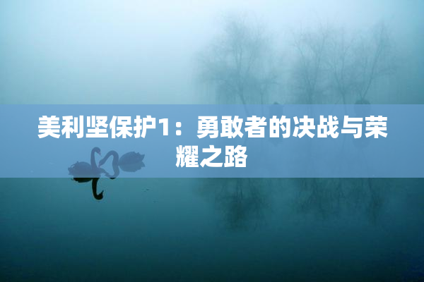 美利坚保护1：勇敢者的决战与荣耀之路
