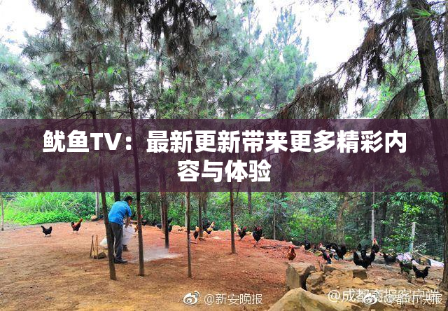 鱿鱼TV：最新更新带来更多精彩内容与体验
