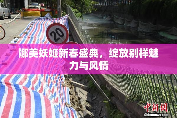 娜美妖姬新春盛典，绽放别样魅力与风情