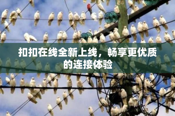 扣扣在线全新上线，畅享更优质的连接体验