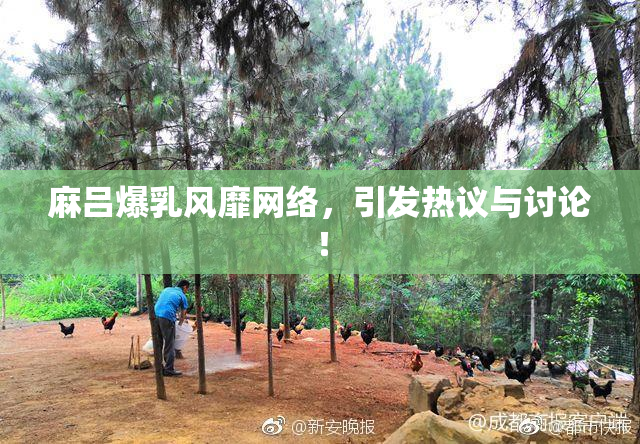 麻吕爆乳风靡网络，引发热议与讨论！