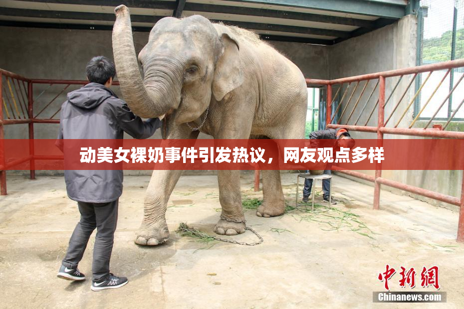 动美女裸奶事件引发热议，网友观点多样