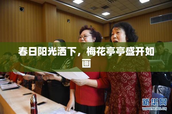 春日阳光洒下，梅花亭亭盛开如画