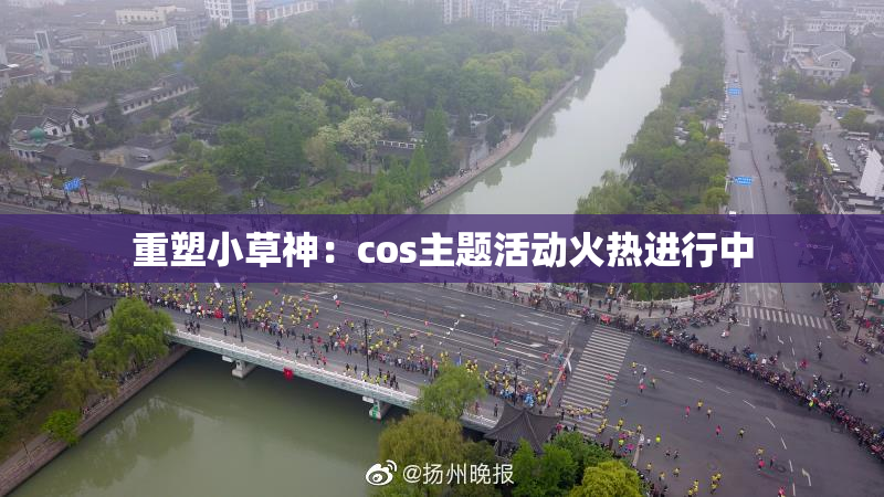重塑小草神：cos主题活动火热进行中