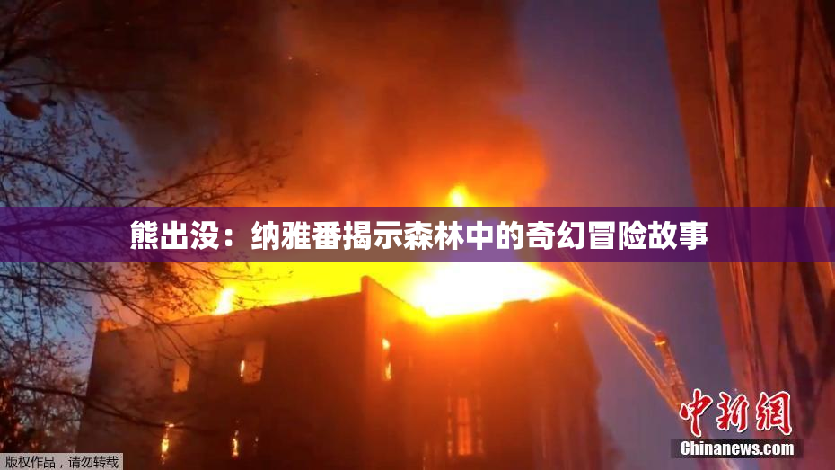 熊出没：纳雅番揭示森林中的奇幻冒险故事