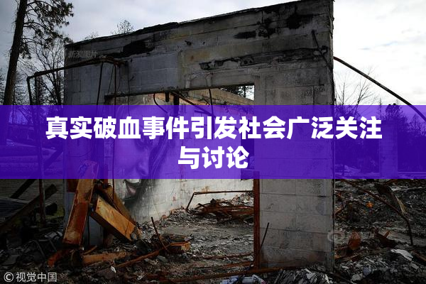 真实破血事件引发社会广泛关注与讨论
