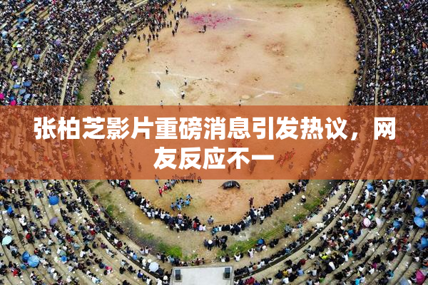 张柏芝影片重磅消息引发热议，网友反应不一