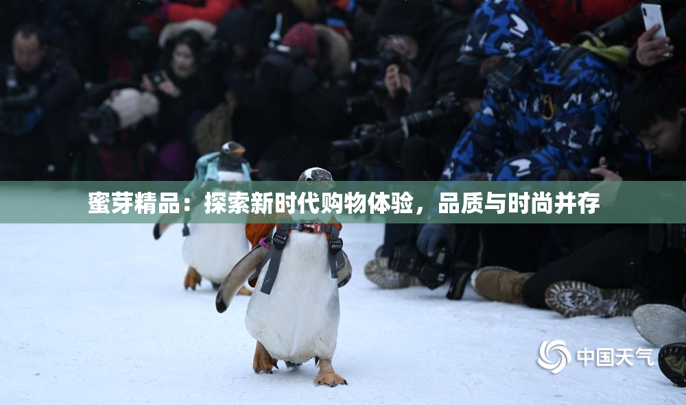 蜜芽精品：探索新时代购物体验，品质与时尚并存