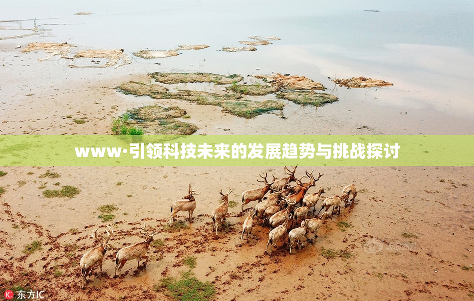 www·引领科技未来的发展趋势与挑战探讨