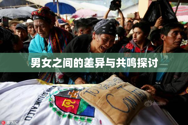 男女之间的差异与共鸣探讨