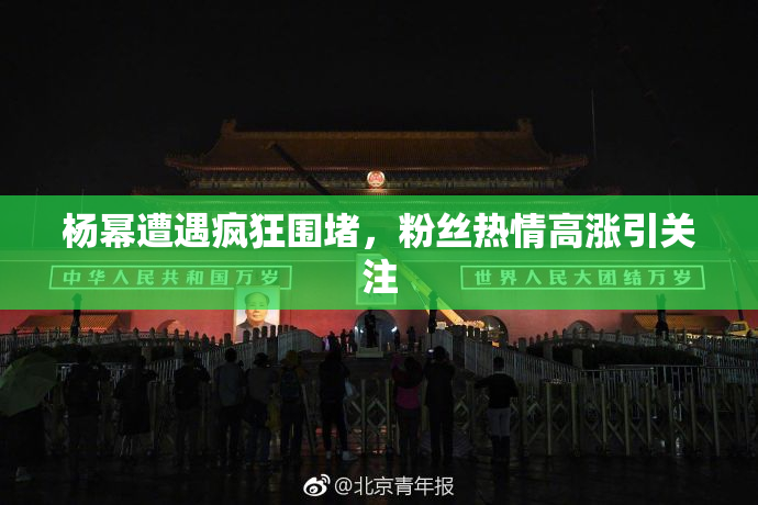 杨幂遭遇疯狂围堵，粉丝热情高涨引关注