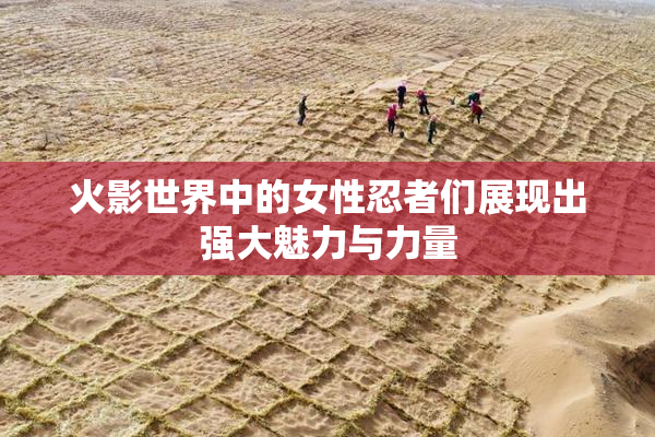火影世界中的女性忍者们展现出强大魅力与力量
