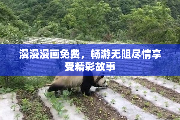 漫漫漫画免费，畅游无阻尽情享受精彩故事