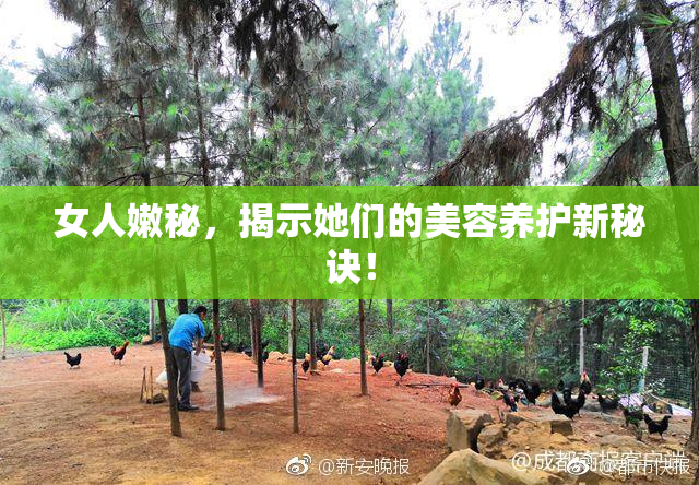 女人嫩秘，揭示她们的美容养护新秘诀！