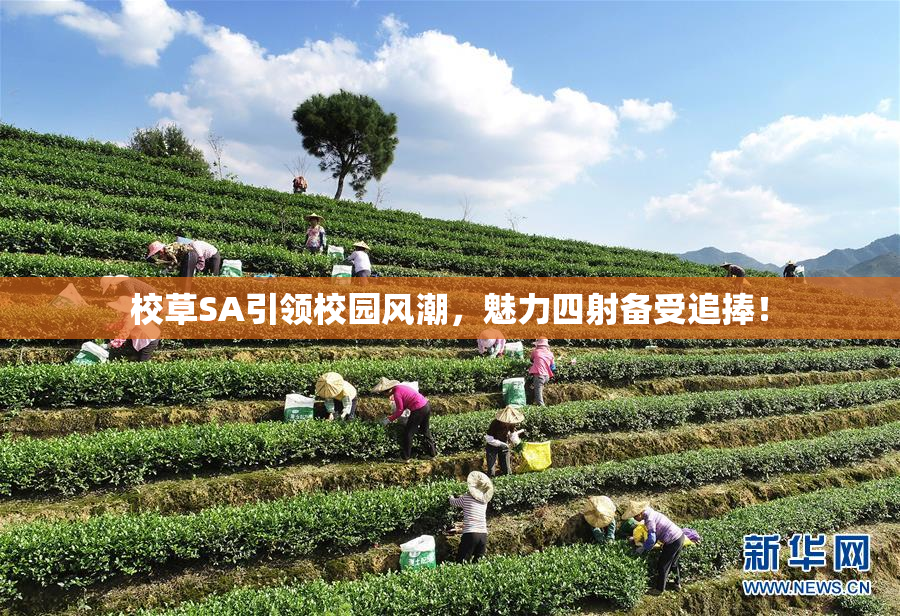 校草SA引领校园风潮，魅力四射备受追捧！
