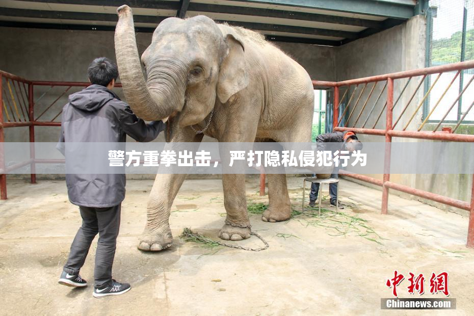 警方重拳出击，严打隐私侵犯行为