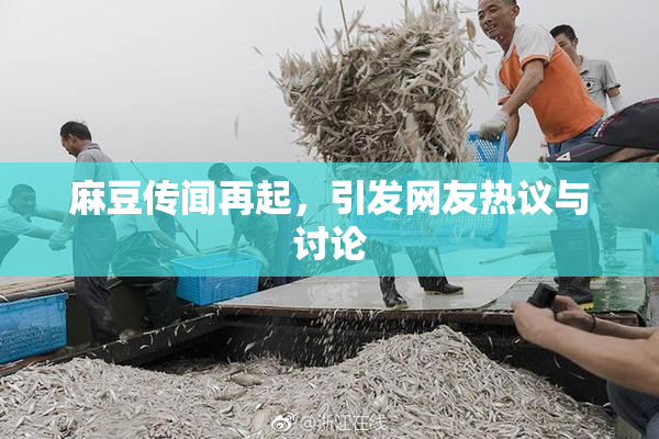 麻豆传闻再起，引发网友热议与讨论