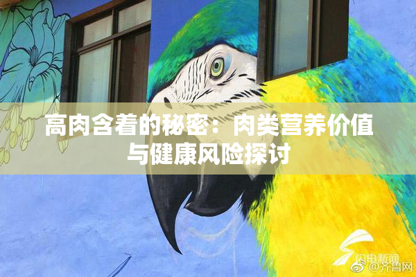 高肉含着的秘密：肉类营养价值与健康风险探讨