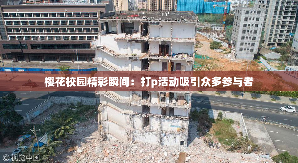 樱花校园精彩瞬间：打p活动吸引众多参与者