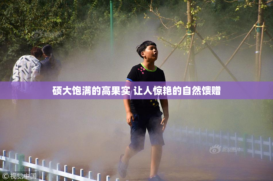 硕大饱满的高果实 让人惊艳的自然馈赠