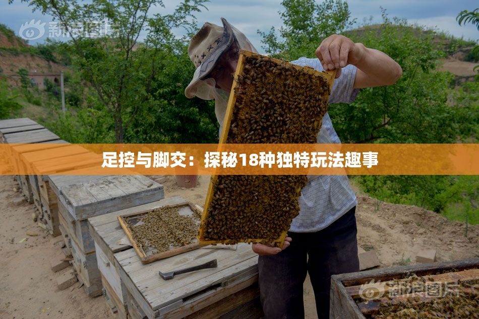 足控与脚交：探秘18种独特玩法趣事