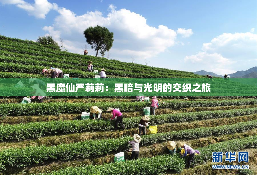 黑魔仙严莉莉：黑暗与光明的交织之旅