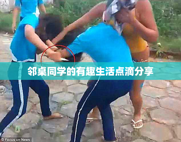邻桌同学的有趣生活点滴分享