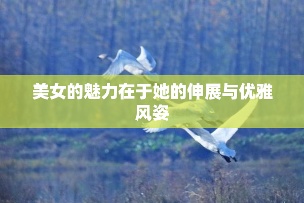 美女的魅力在于她的伸展与优雅风姿