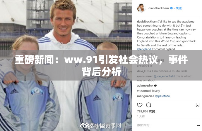 重磅新闻：ww.91引发社会热议，事件背后分析