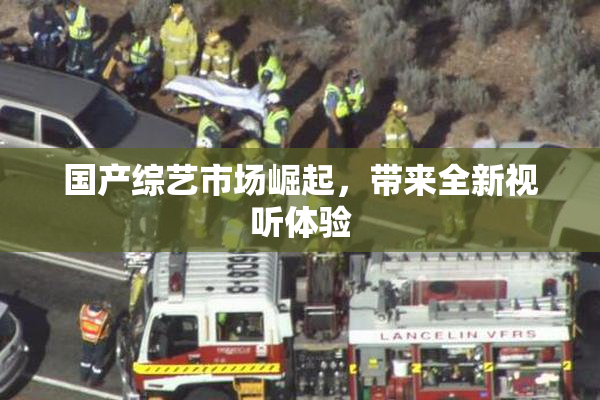 国产综艺市场崛起，带来全新视听体验