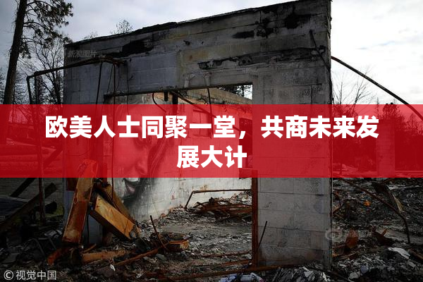 欧美人士同聚一堂，共商未来发展大计