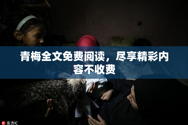 青梅全文免费阅读，尽享精彩内容不收费