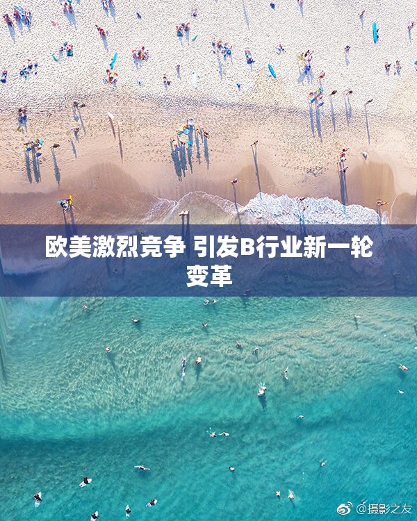 欧美激烈竞争 引发B行业新一轮变革