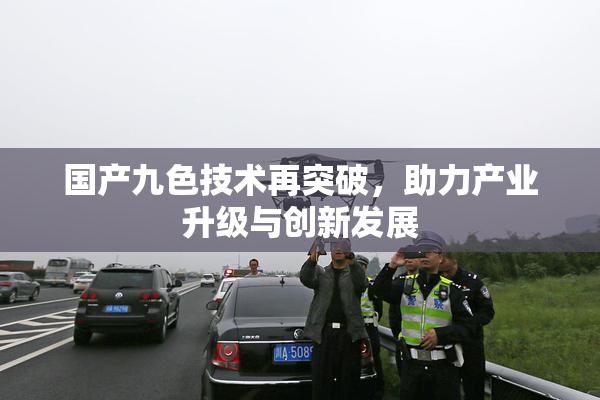 国产九色技术再突破，助力产业升级与创新发展
